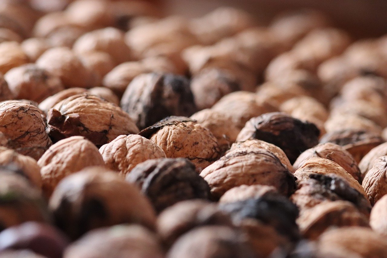 币安实名账号：代理注册公司找哪家好呢