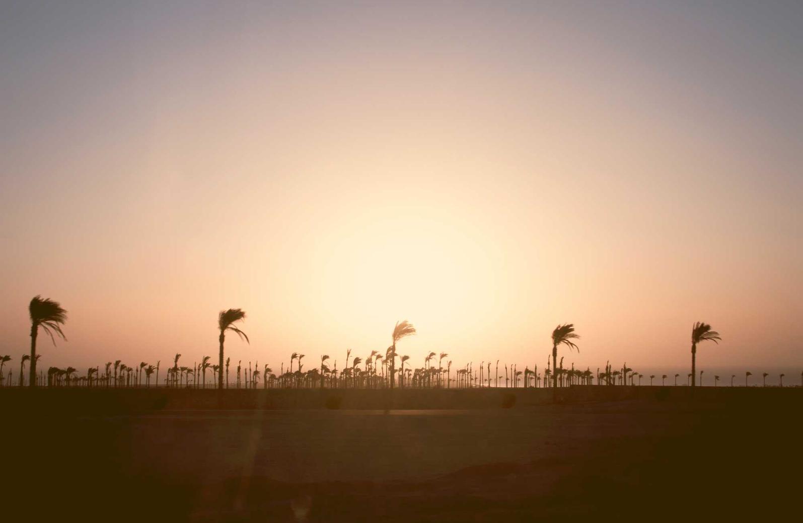 贴吧实名账号：太康物资购买平台