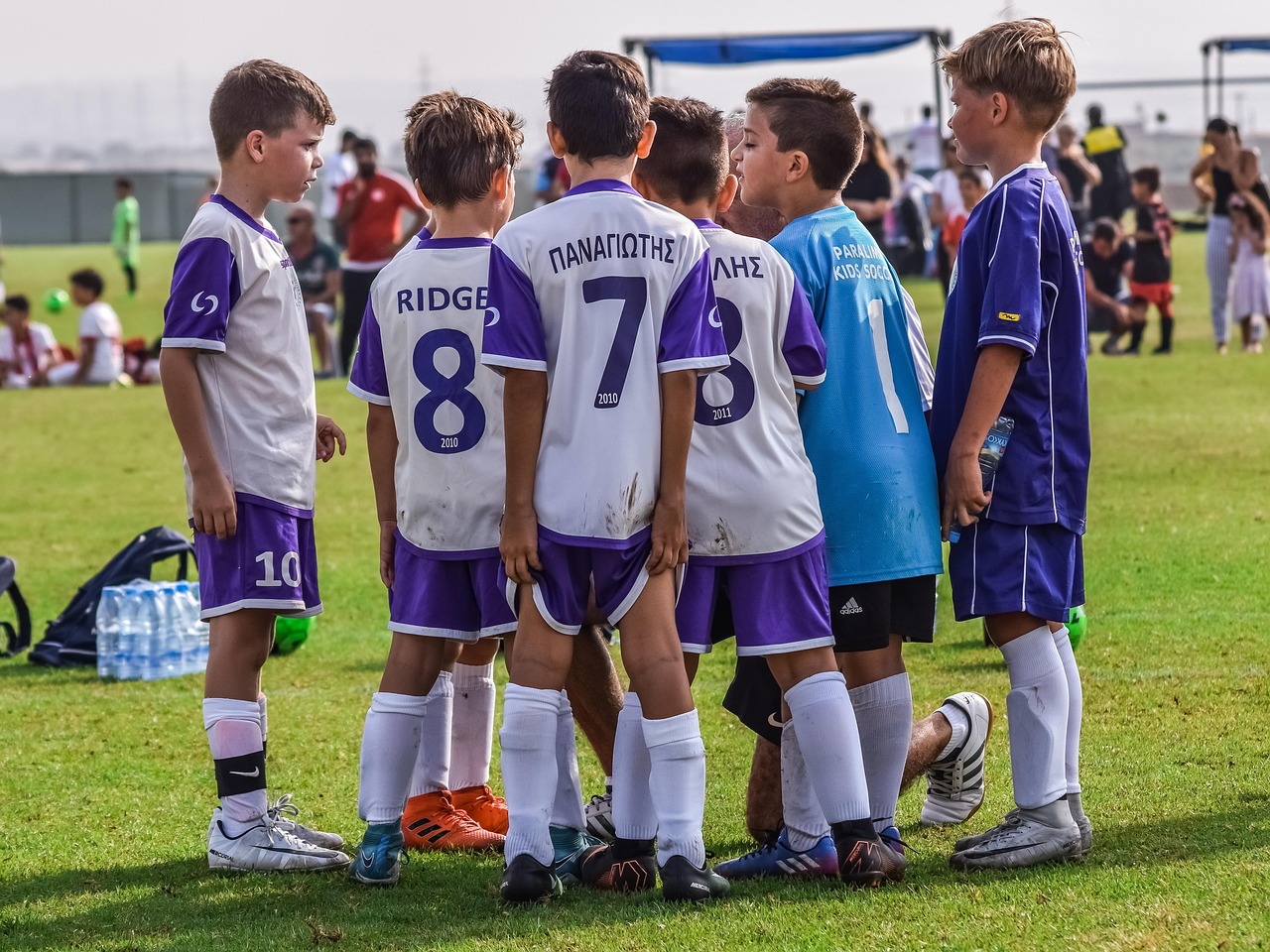 富途娱乐，注册|海南工商注册代理排行