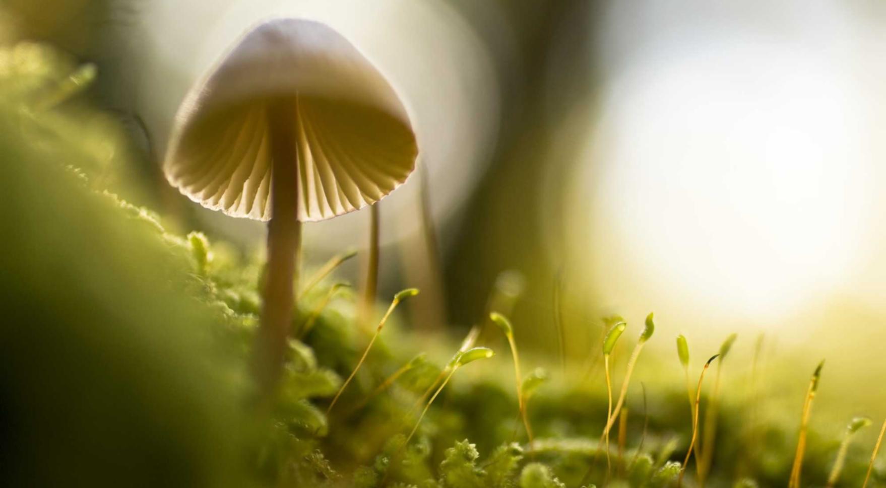 第七史诗国际服：fb账号怎么注册成美国的