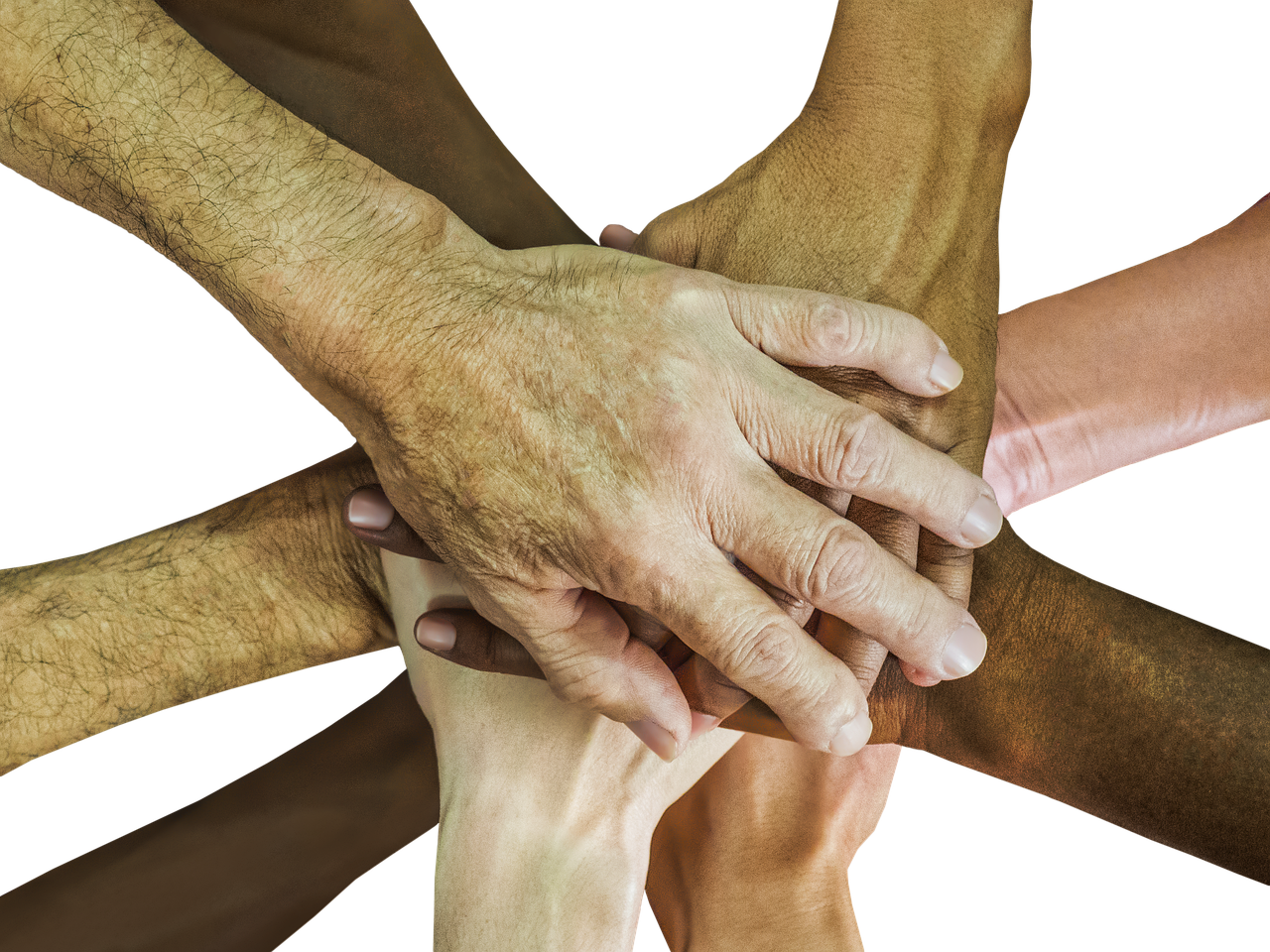 直播app代理平台