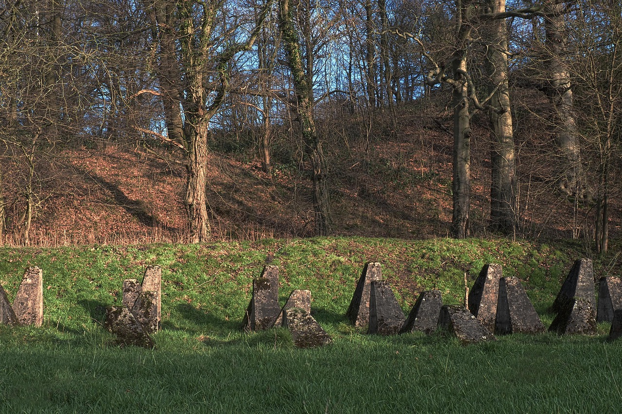哈利波特：魔法觉醒：苹果app详情下载教程怎么设置指纹