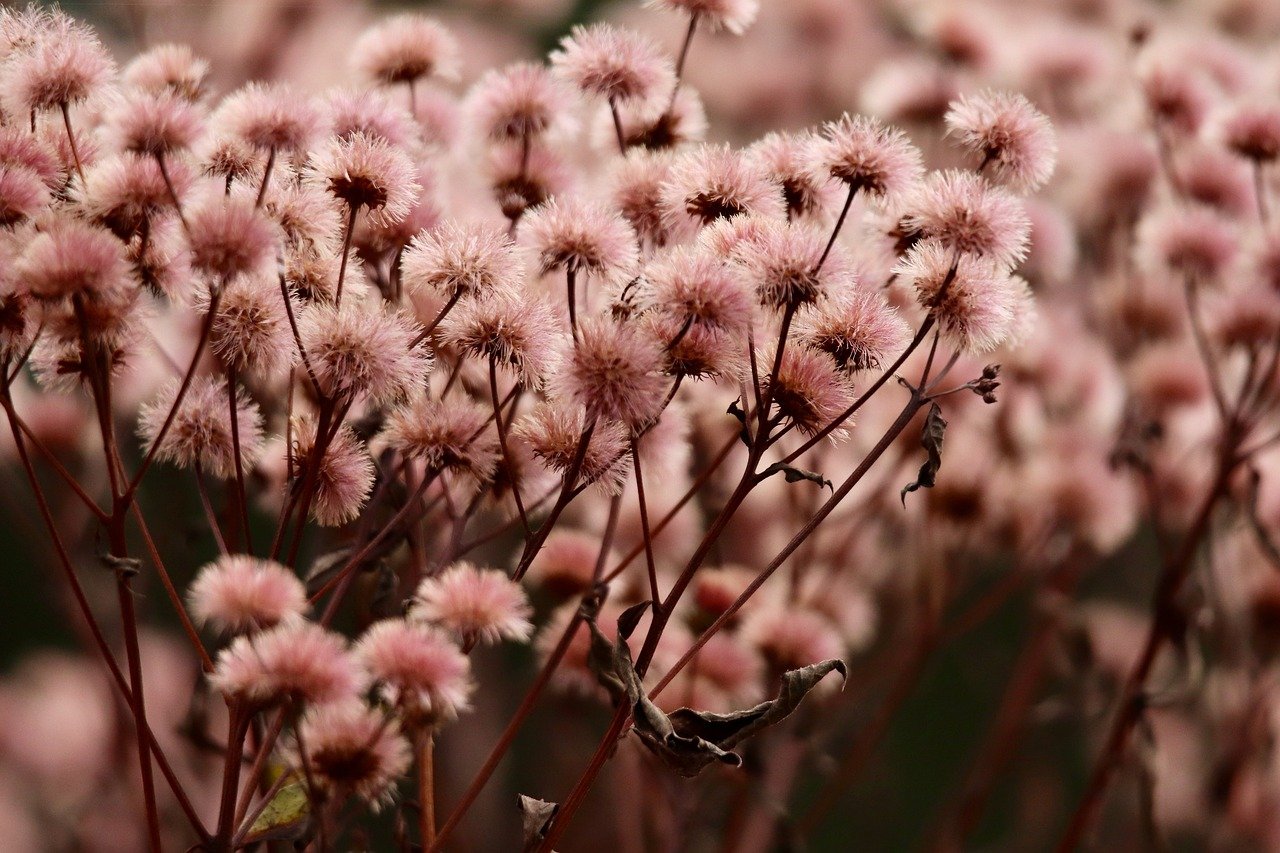 副卡实名账号：淘宝开店账号注册时间