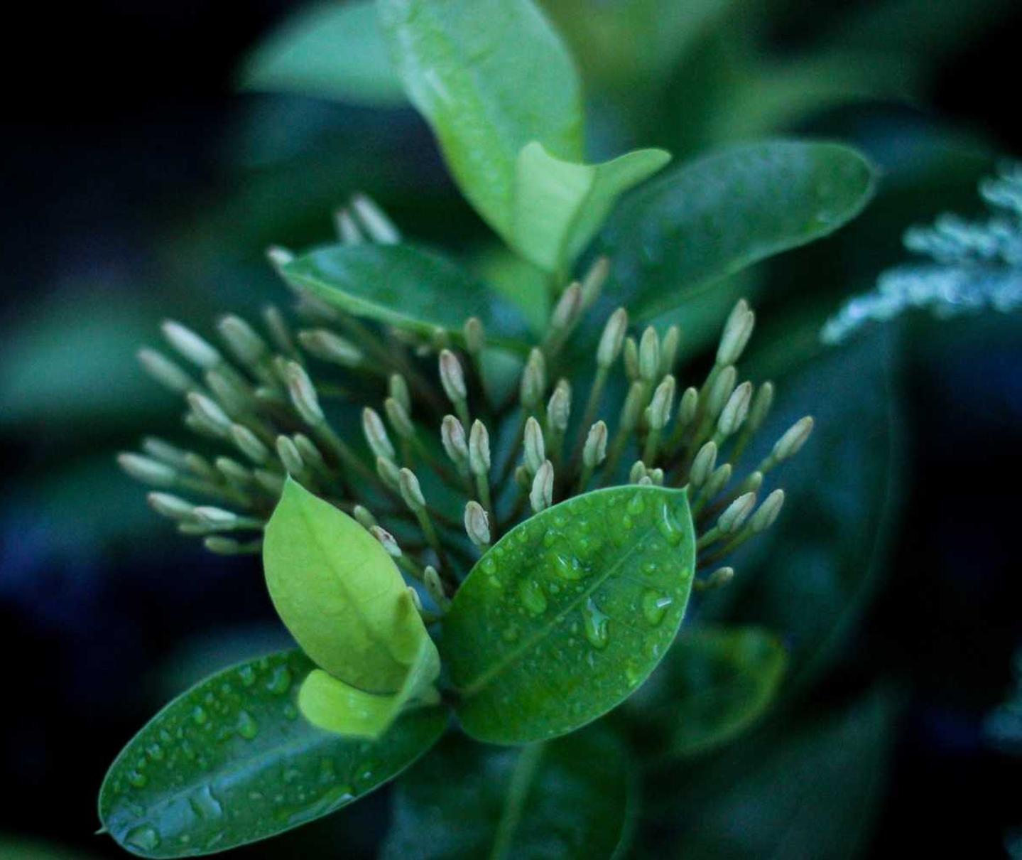 DDOS攻击|代理注册公司成立条件