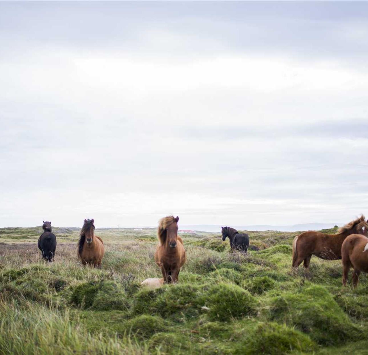 镇魂街：武神躯：埃塞银行App详情下载教程